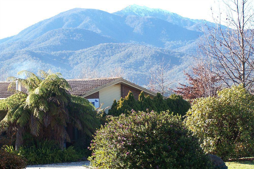 Bogong Moth Motel Mount Beauty Extérieur photo